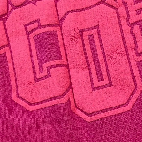 Point Sportswear Women's Pink‎ Denver Colorado Est. 1858 Pullover Hoodie Size  M - Picture 9 of 11